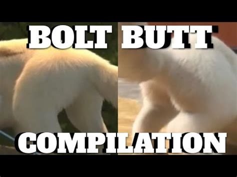 cum in ass compilation